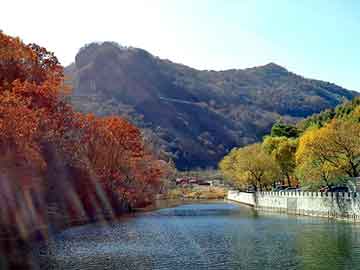 澳门二四六天天彩图库，烟台鸡蛋